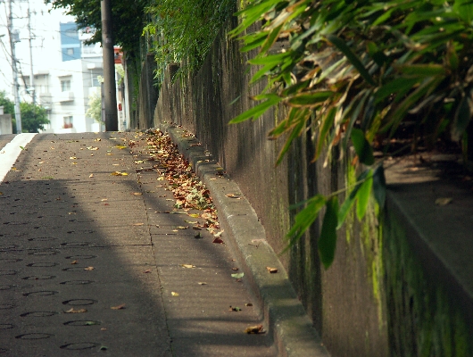 おとめ山公園への坂道