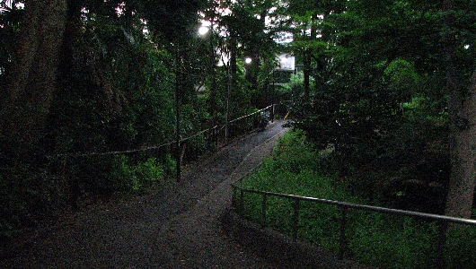 オバケ坂
