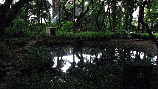 オバケ坂
