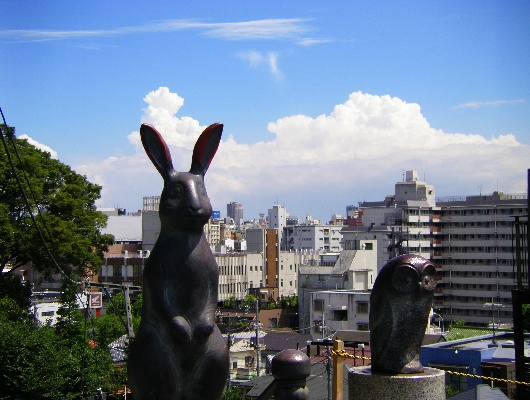 夏の空