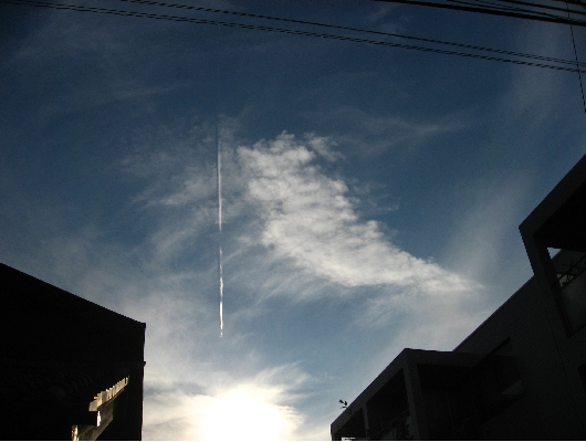 ひこうき雲