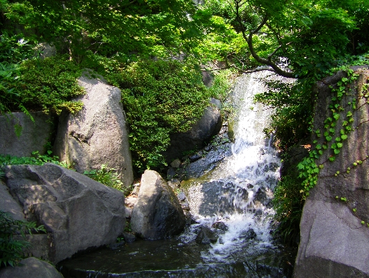 滝