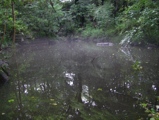上の池