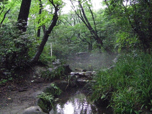 中の池