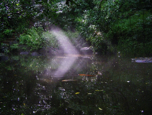 おとめ山公園の上の池