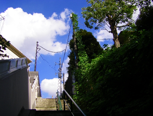 おとめ山公園から日立倶楽部への坂道