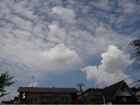 秋の空