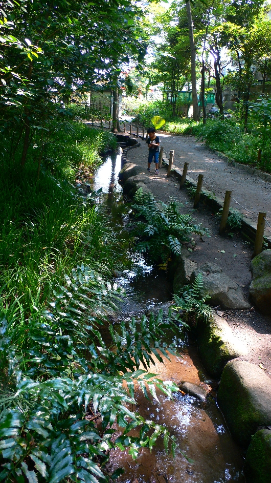 おとめ山公園