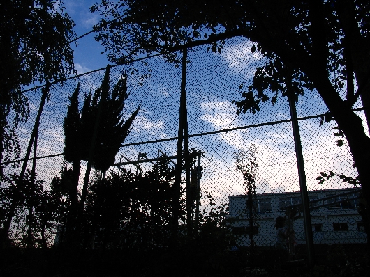 小学校