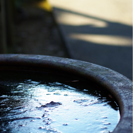 薬王院の水がめ