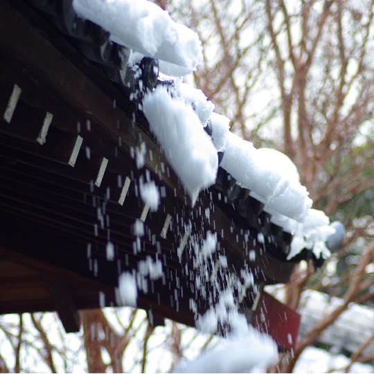 薬王院の観音堂