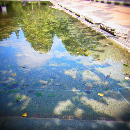 教育の森公園