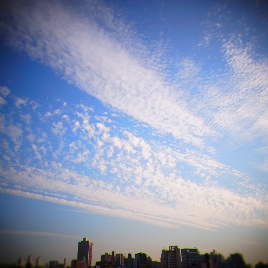秋の空