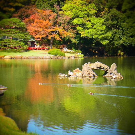 六義園