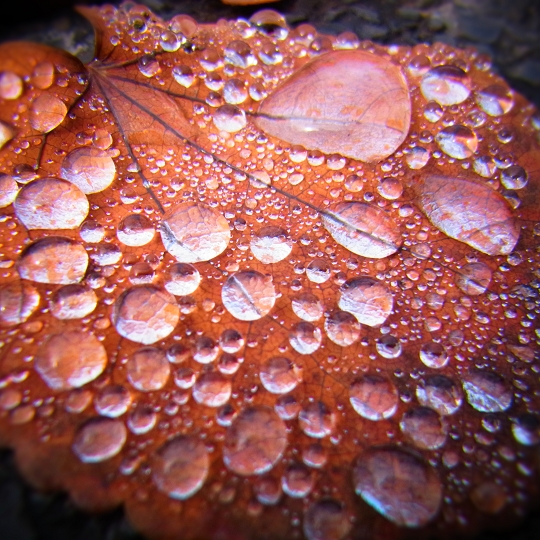 水滴