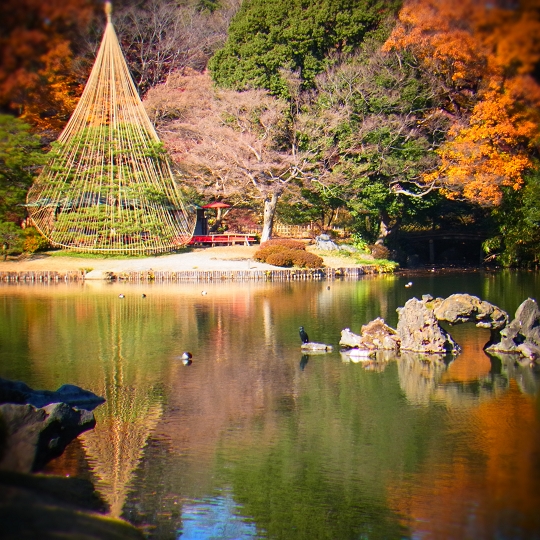 六義園の紅葉