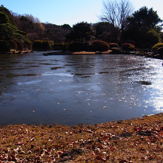 氷の池