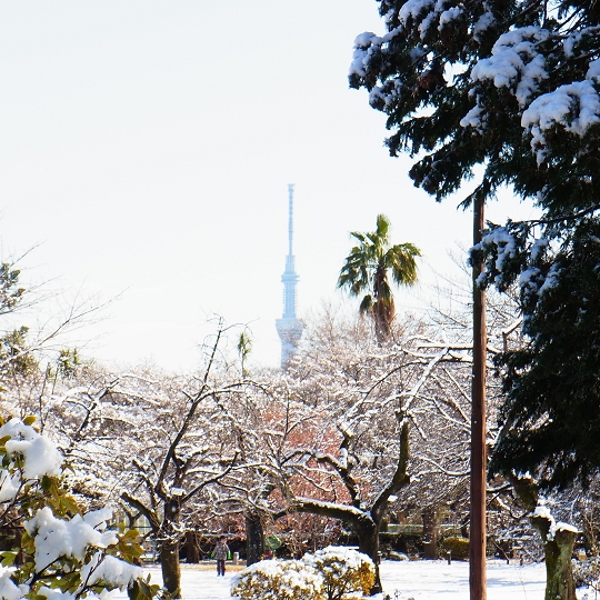 スカイツリー