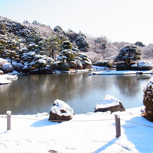 積雪の植物園