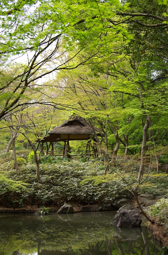 ツツジ茶屋
