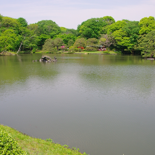六義園の池