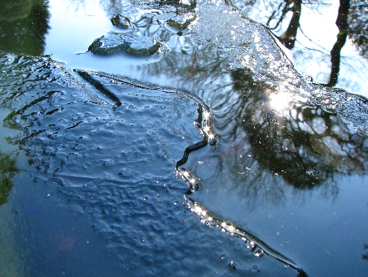 氷
